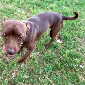 Meet your Posher, Janet